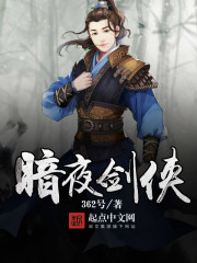 暗夜剑侠