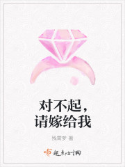 对不起,请嫁给我