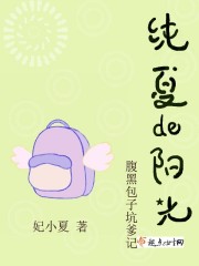纯夏的阳光,腹黑包子坑爹记