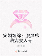 宠婚缠绵:腹黑总裁宠妻入骨