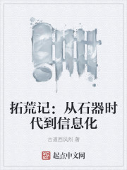 拓荒记:从石器时代到信息化