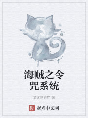 海贼之令咒系统