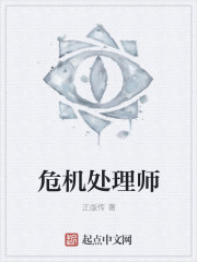 危机处理师