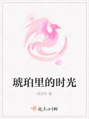 琥珀里的时光