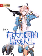 有大问题的游戏人生