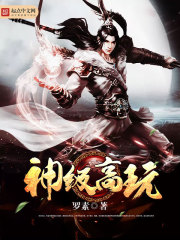 神级高玩笔趣阁