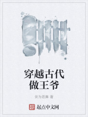 穿越古代做王爷