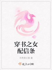 穿书之女配信条