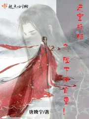逆皇叛姬之陛下请自重!