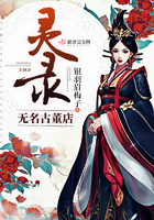 无名古董店:灵录