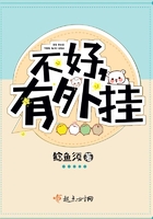 不好,有外挂!