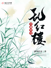 穿越红楼之贾母