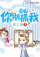 四爷,你别抓我