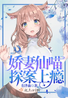 娇妻仙喵,探案上瘾