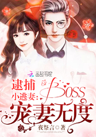 逮捕小逃妻:boss宠妻无度