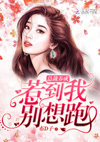 总裁养成:惹到我,别想跑