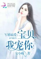 婚令如山(军婚霸爱:宝贝,我宠你!)