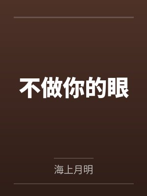 不做你的眼