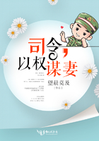 司令,以权谋妻