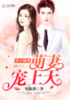 君子报恩:萌妻宠上天