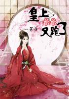皇上,娘娘又跑了