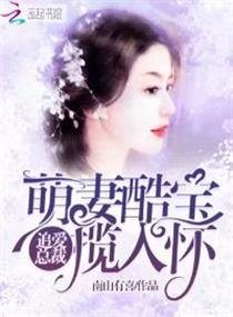 追爱总裁:萌妻酷宝揽入怀