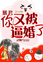 暴君,你又被逼婚了