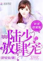 娇妻甜蜜蜜:陆少,放肆宠