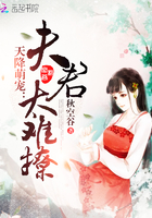 天降萌宠:夫君太难撩