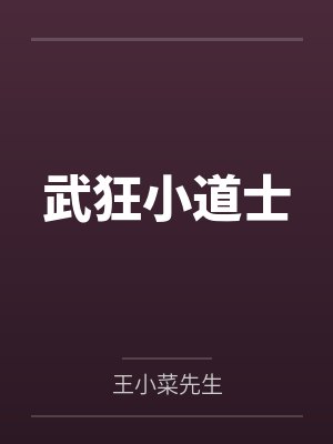 武狂小道士