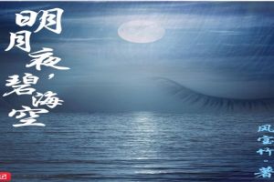 明月夜,碧海空