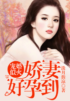 宠婚似火:娇妻,好孕到!