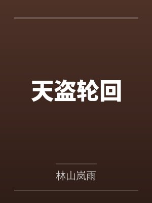 天盗轮回