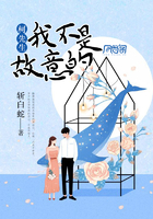 柯先生,我不是故意的
