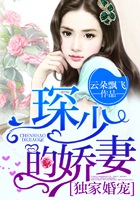 独家婚宠:琛少的娇妻