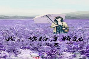 我,嫁给了将就