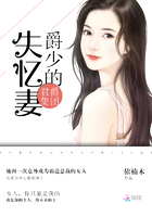君爵集团:爵少的失忆妻
