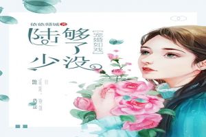 宠婚如戏:陆少,够了没