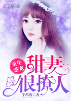 重生婚宠:甜妻,很撩人