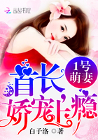 1号萌妻:冷少,娇宠上瘾!