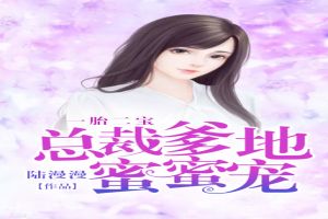 一胎二宝:总裁爹地蜜蜜宠