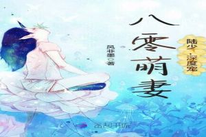 八零萌妻:陆少,深度宠!