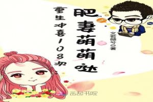 重生冲喜108次:肥妻萌萌哒