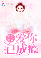 霸少追妻:爱你已成瘾