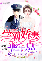 逃婚101天:学霸娇妻,乖一点