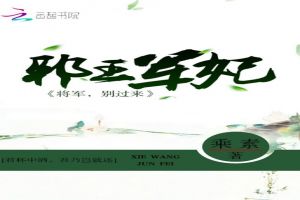 独宠:王爷的小妾