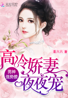 男神强势撩:高冷娇妻,夜夜宠!