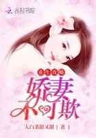 重生攻略:娇妻不可欺