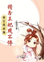 邪王宠成瘾:精分王妃戏不停