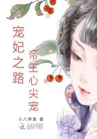 宠妃之路:帝王心尖宠